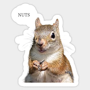 Squirrel say's Nuts Sticker